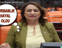 Kurbanlık almak hayal oldu