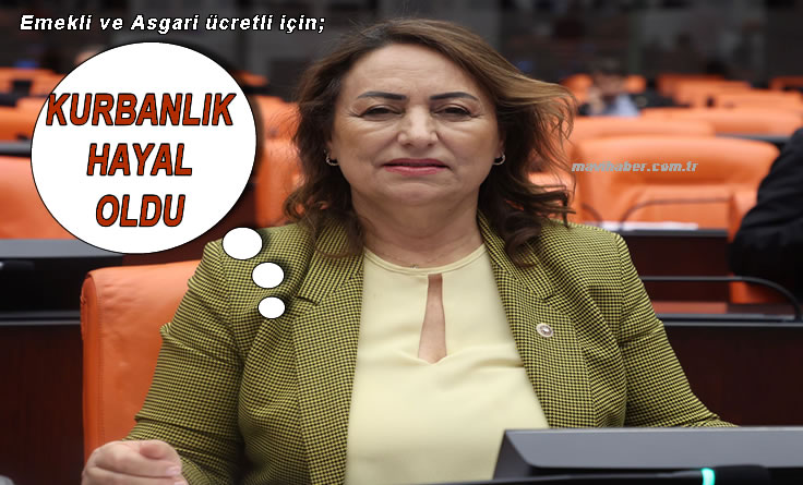 Kurbanlık almak hayal oldu
