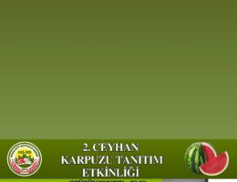 Ceyhan Yarın Karpuzla Coşacak
