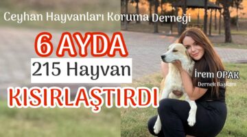 6 Ayda 215 Hayvan kısırlaştırdılar
