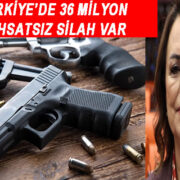 Türkiye’de 36 milyon ruhsatsız silah var