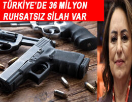 Türkiye’de 36 milyon ruhsatsız silah var
