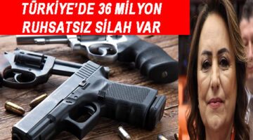 Türkiye’de 36 milyon ruhsatsız silah var