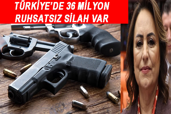 Türkiye’de 36 milyon ruhsatsız silah var