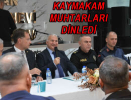 Kaymakam muhtarları dinledi