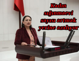 Kadın sığınmaevi sayısı artmak yerine azalıyor