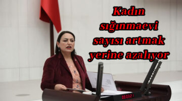 Kadın sığınmaevi sayısı artmak yerine azalıyor