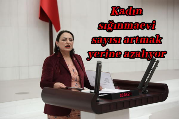 Kadın sığınmaevi sayısı artmak yerine azalıyor