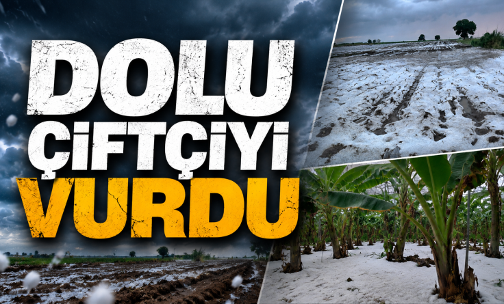 Dolu çiftçiyi vurdu