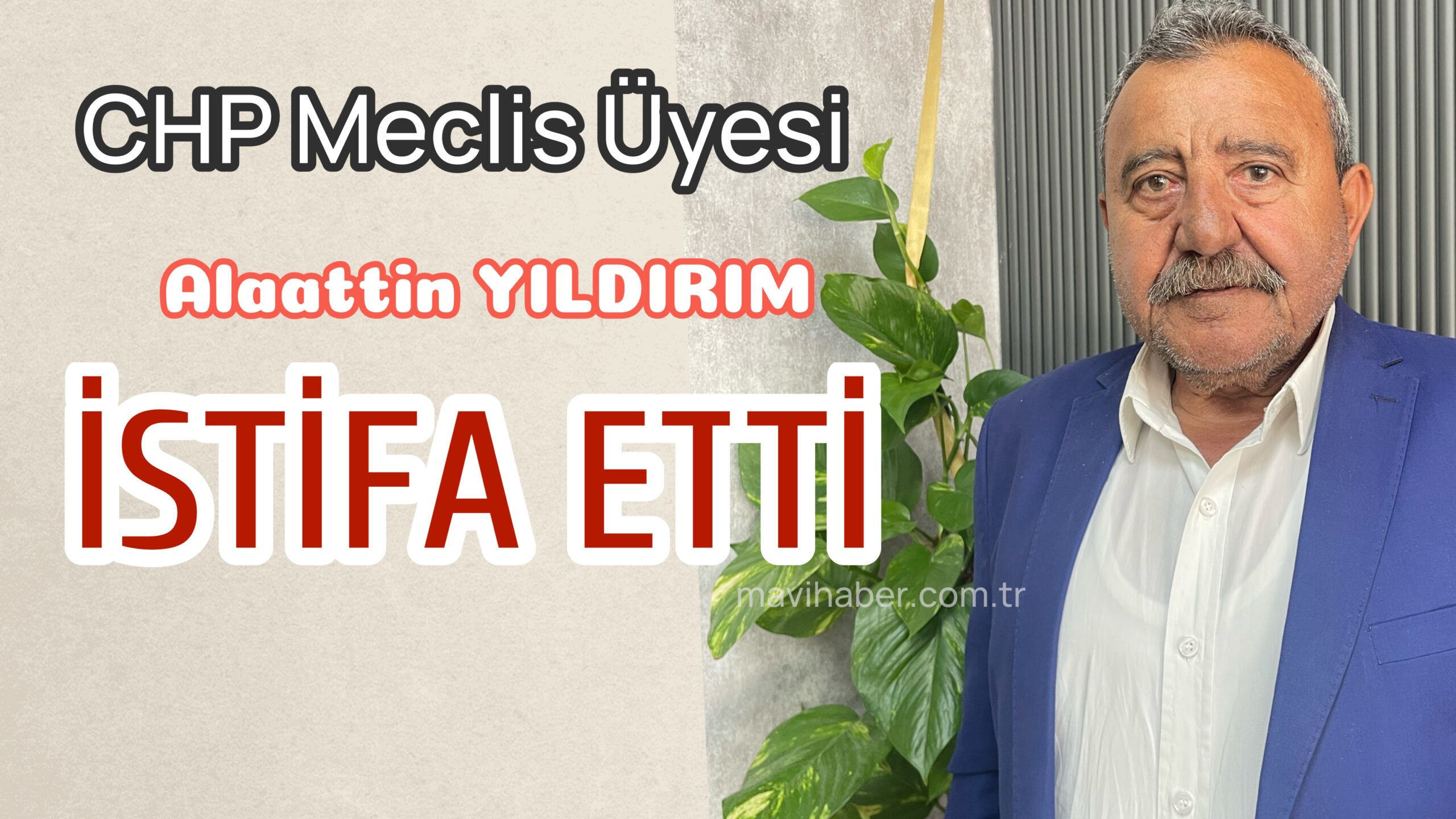 CHP Meclis Üyesi istifa etti
